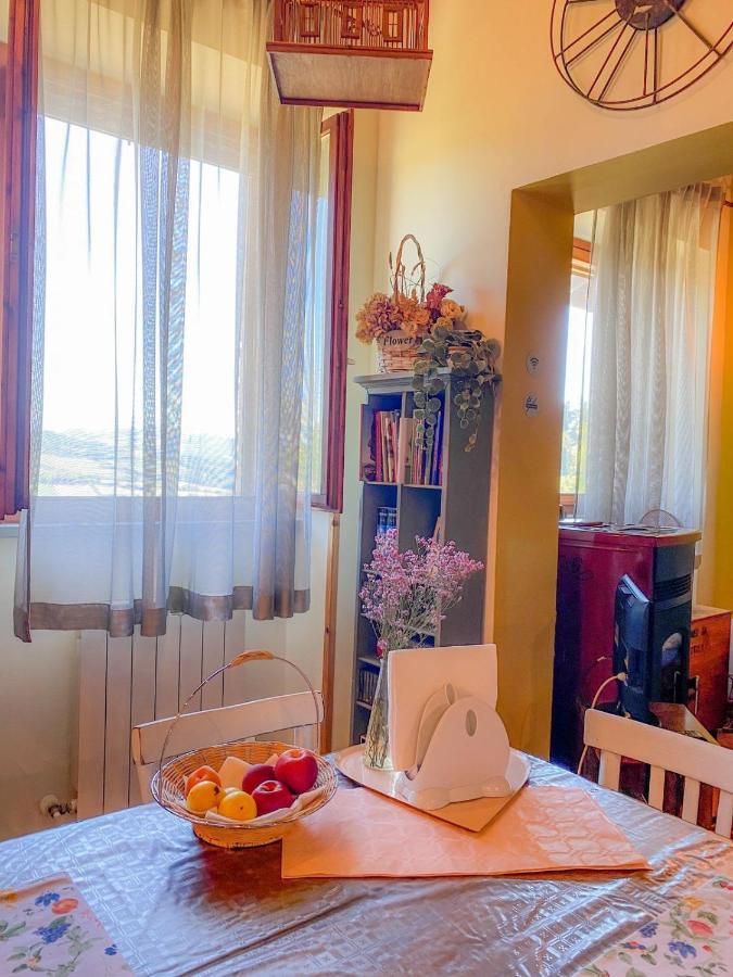 Ca' Tomassino Holiday Apartments Urbino Zewnętrze zdjęcie