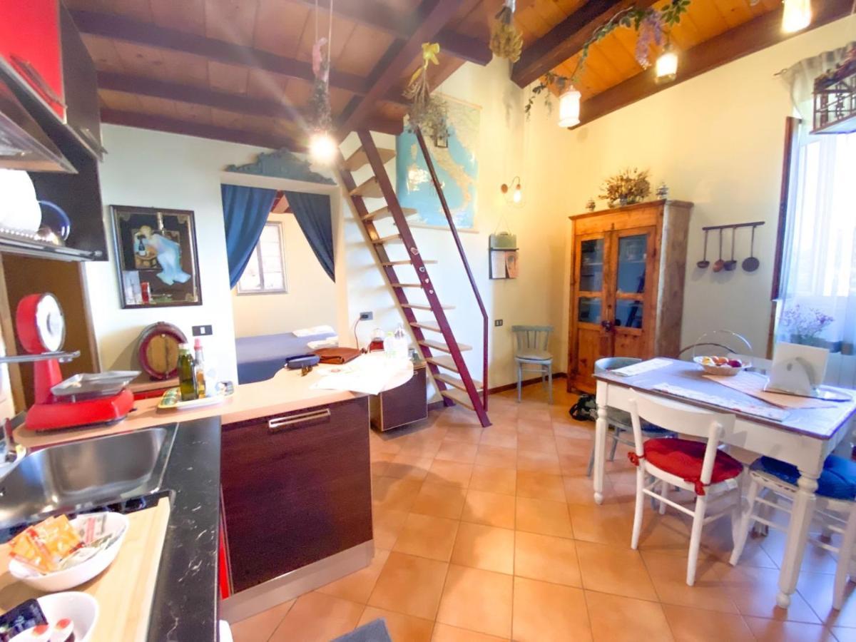 Ca' Tomassino Holiday Apartments Urbino Zewnętrze zdjęcie