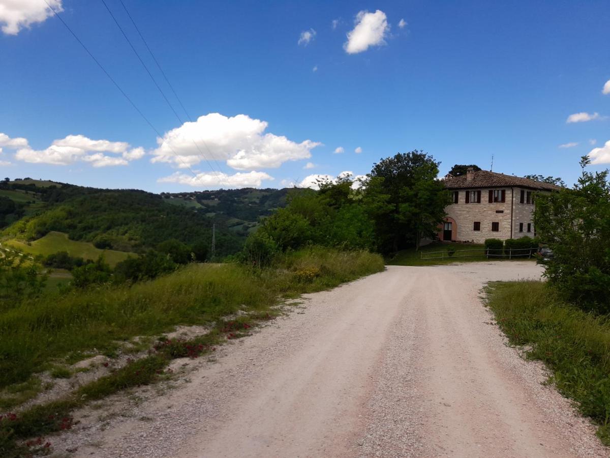 Ca' Tomassino Holiday Apartments Urbino Zewnętrze zdjęcie